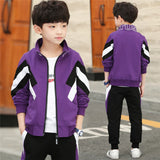 3PCS Boys clothes Child Sportswear Clothing Set Autumn Child Casual Sweatshirt kids boy's clothing sets Boys jacket tops & pants
