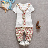 Baby Clothes Summer New Boy's Suit Children Short Sleeves Boys Clothing Set